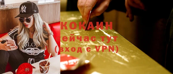 шишки Вязьма