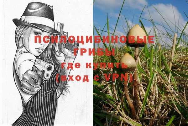 мдпв Вязники