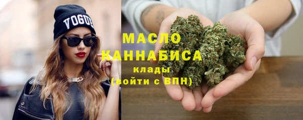 твердый Вяземский