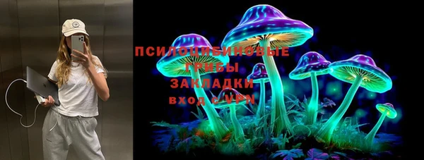 мдпв Вязники