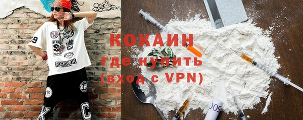 твердый Вяземский