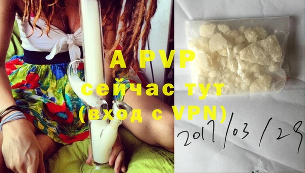 твердый Вяземский