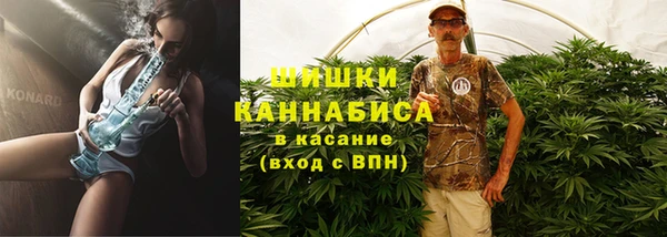 мдпв Вязники