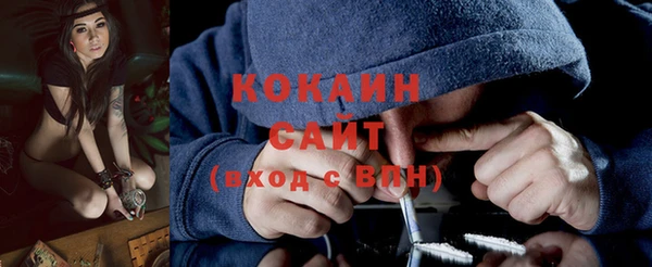 твердый Вяземский