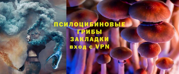 шишки Вязьма